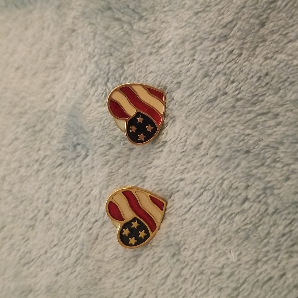 Patriotic earrings